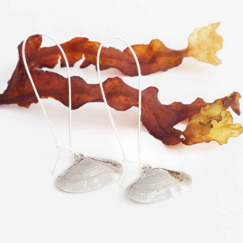 SANDMUSSLA (Hiekkasimpukka) korvakorut koukulla - Guldviva Jewellery