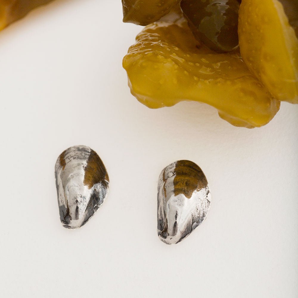 BLÅSKJELL øredobber med stift - Guldviva Jewellery