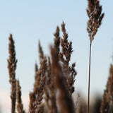 En liten hjälp på vägen