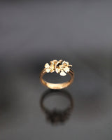 ÄPPELBLOM (Apple Blossom) 18K ring