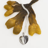 BLÅMUSSLA (Blaumuschel) HERZ Halskette