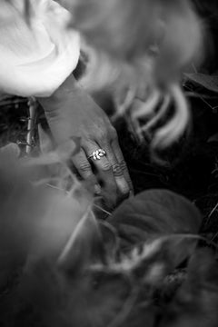Hand on a potato plant with the EVA 18K leaf ring visible on the finger.