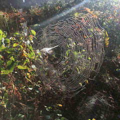 SPINDEL (Spider) necklace - Guldviva Jewellery