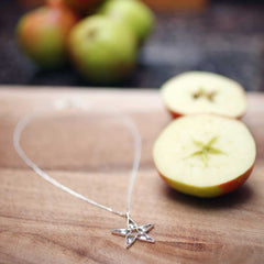 STJÄRNHUS (Apple seed) earrings - Guldviva Jewellery