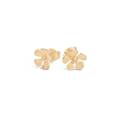 ÄPPELBLOM (Omenakukka) 18K korvanapit - Guldviva Jewellery