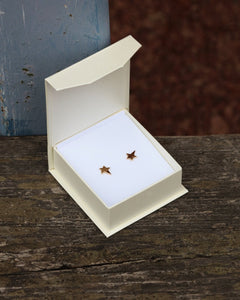STAR 18K korvanapit - Guldviva Korut - Guldviva Korut