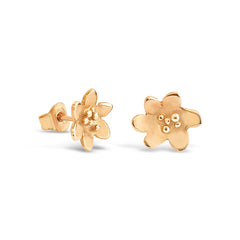 BLÅSIPPA (Lehtosinivuokko) 18K korvanapit - Guldviva Jewellery