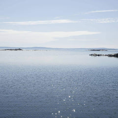 BLÅSKJELL  FEST anheng  Guldviva HEART - Smykker