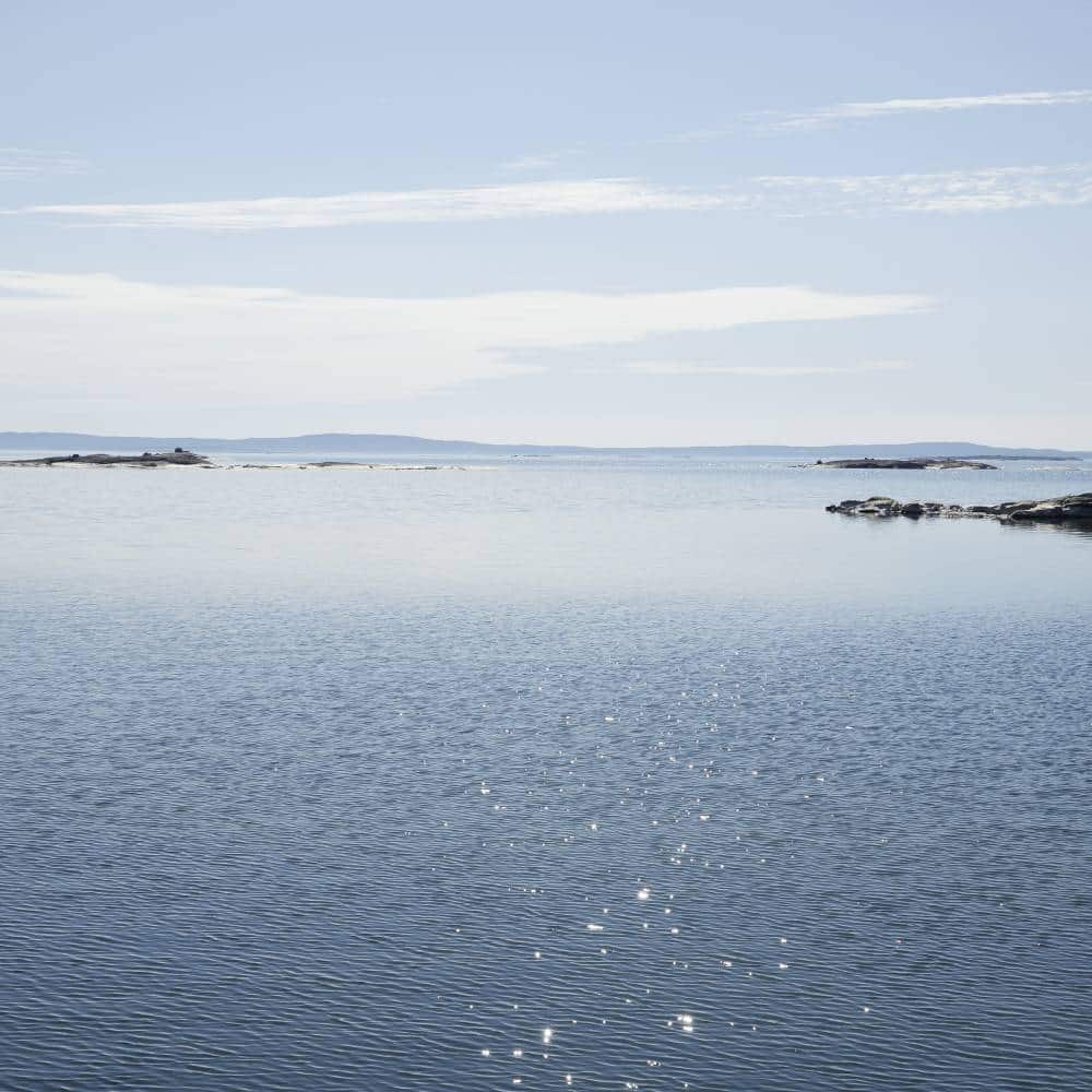 SANDSNEGL S øredobber med stift